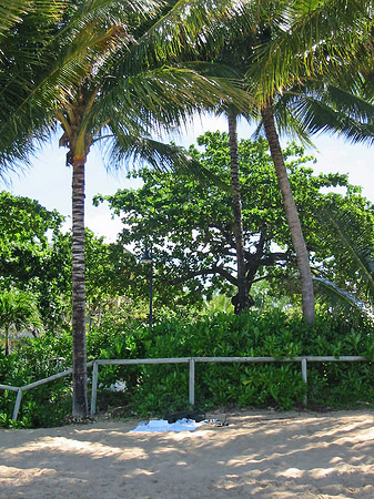 Strand - Queensland (Cairns)