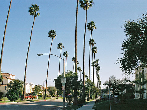 Beverly Hills - Kalifornien (Beverly Hills)