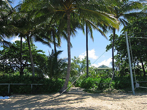 Strand - Queensland (Cairns)