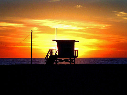 Venice Beach Foto von Citysam  von Los Angeles 