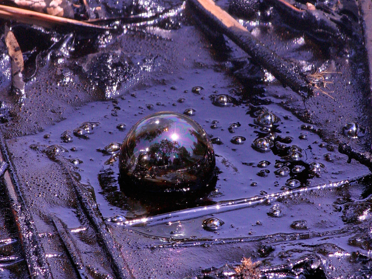 Foto La Brea Tar Pits - Los Angeles