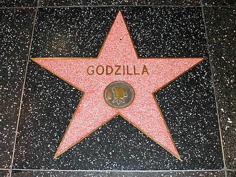 Attraktionen Hollywood Walk Of Fame Stars Sternchen