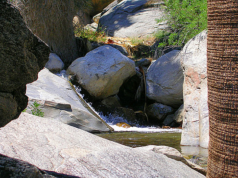 Foto Palm Springs - Palm Springs